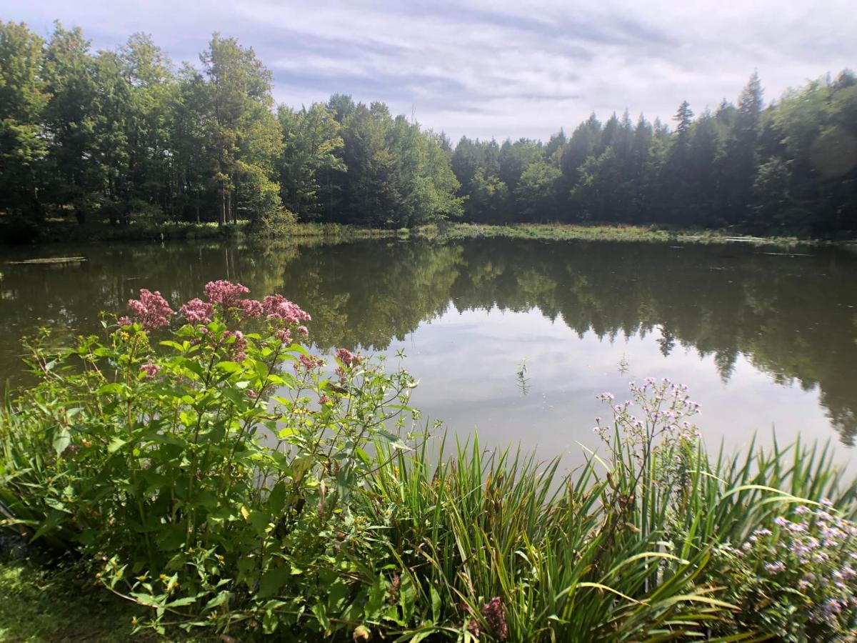 Mill Pond Inn Jefferson Buitenkant foto